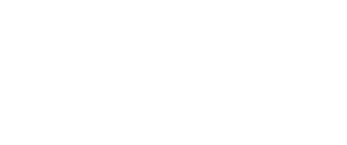 Reflex Sound System